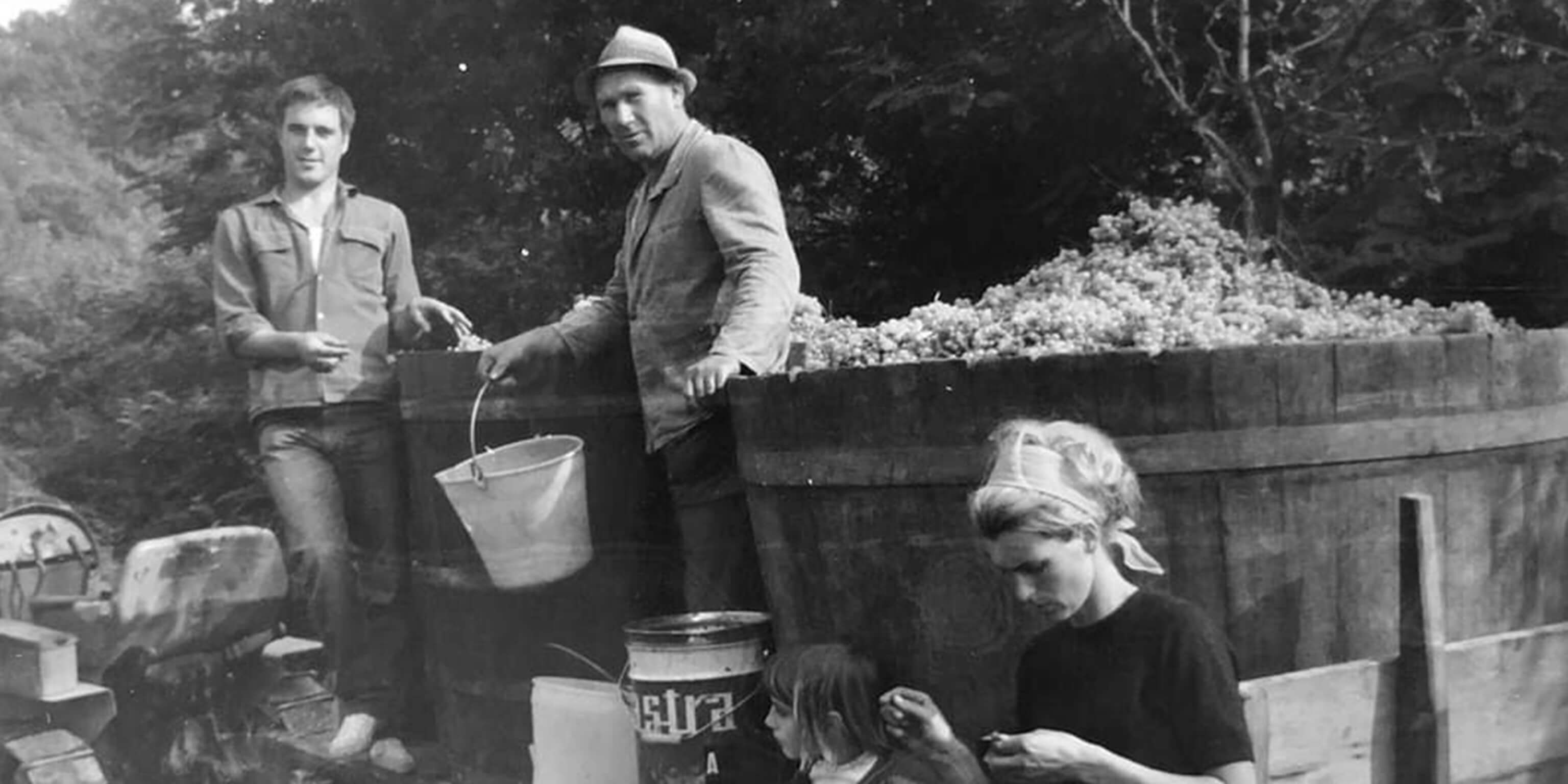 vinarstvi-uvodni-MS@2x