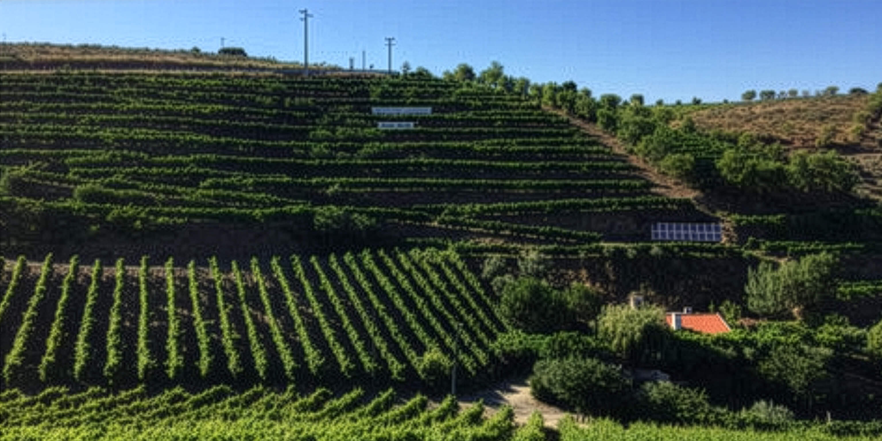 vinarstvi-uvodni-donaberta@2x