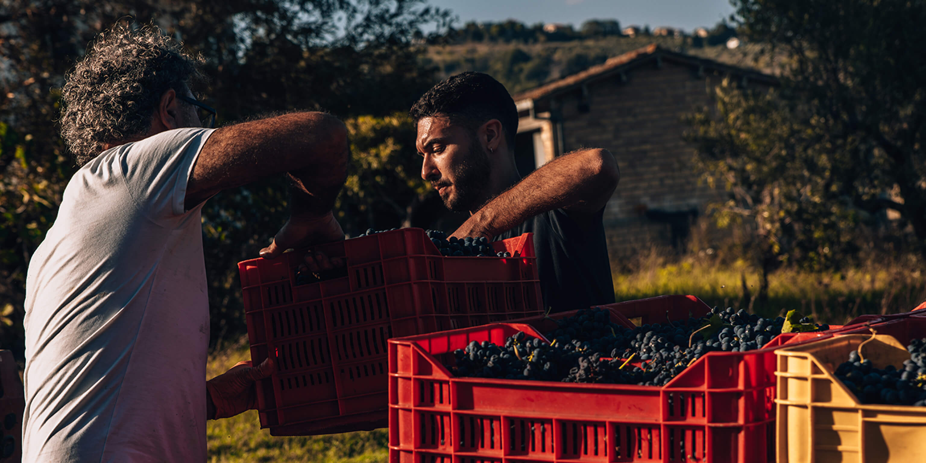 vinarstvi-uvodni-zappacosta@2x_1